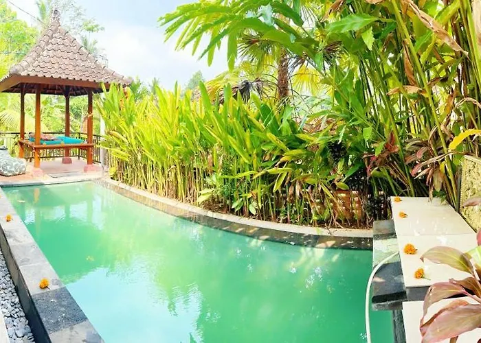 Lai's - Jungle Escape 4*
