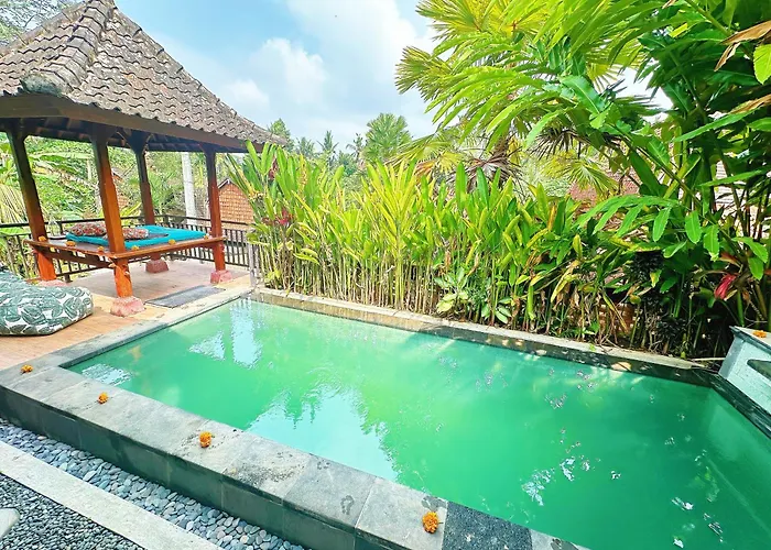 Lai's - Jungle Escape 4*